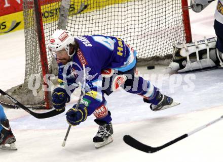 EBEL. Eishockey Bundesliga. EC VSV gegen SAPA Fehervar AV19. Torjubel Michael Grabner  (VSV). Villach, am 18.11.2012.
Foto: Kuess 


---
pressefotos, pressefotografie, kuess, qs, qspictures, sport, bild, bilder, bilddatenbank