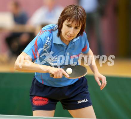 Tischtennis 1. Bundesliga. Adriana Minarova (TTC Villacher). Villach, am 24.11.2012.
Foto: Kuess
---
pressefotos, pressefotografie, kuess, qs, qspictures, sport, bild, bilder, bilddatenbank