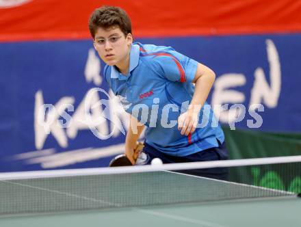 Tischtennis 1. Bundesliga. Amelie Solja (TTC Villacher). Villach, am 24.11.2012.
Foto: Kuess
---
pressefotos, pressefotografie, kuess, qs, qspictures, sport, bild, bilder, bilddatenbank