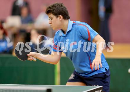 Tischtennis 1. Bundesliga. Amelie Solja (TTC Villacher). Villach, am 24.11.2012.
Foto: Kuess
---
pressefotos, pressefotografie, kuess, qs, qspictures, sport, bild, bilder, bilddatenbank