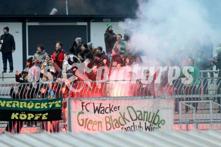 Fussball BUndesliga. RZ Pellets WAC gegen FC Wacker Innsbruck. Fans. Wolfsberg, am 1.12.2012.
Foto: Kuess
---
pressefotos, pressefotografie, kuess, qs, qspictures, sport, bild, bilder, bilddatenbank