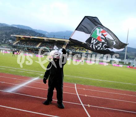 Fussball BUndesliga. RZ Pellets WAC gegen FC Wacker Innsbruck. Osttribuene der Lavanttal-Arena, Maskottchen. Wolfsberg, am 1.12.2012.
Foto: Kuess
---
pressefotos, pressefotografie, kuess, qs, qspictures, sport, bild, bilder, bilddatenbank