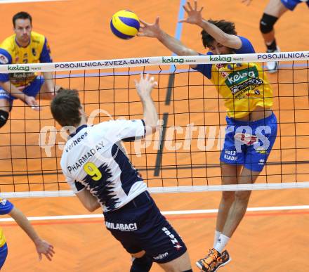 Volleyball. CEV-Cup. SK Posojilnica Aich/Dob gegen Andreoli Latina. Gerald Reiser  (Aich/Dob). Bleiburg, 12.12.2012.
Foto: Kuess

---
pressefotos, pressefotografie, kuess, qs, qspictures, sport, bild, bilder, bilddatenbank