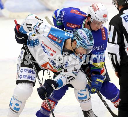 EBEL. Eishockey Bundesliga. EC VSV gegen EHC LIWEST Linz. Marco Pewal,  (VSV), Shawn Matthias (Linz). Villach, am 14.12.2012.
Foto: Kuess 


---
pressefotos, pressefotografie, kuess, qs, qspictures, sport, bild, bilder, bilddatenbank