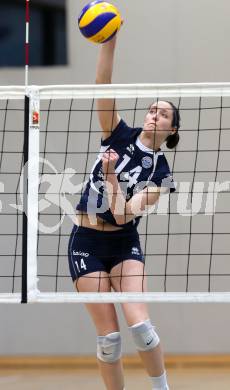 Volleyball. Frauen. Bundesliga. ATSC Wildcats gegen UVC Graz. Anna Cmaylo (Wildcats). Klagenfurt, 15.12.2012.
Foto: Kuess
---
pressefotos, pressefotografie, kuess, qs, qspictures, sport, bild, bilder, bilddatenbank