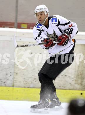 Eishockey NAHL. Tarco Woelfe gegen Weiz. Manuel Ferrara (Tarco). Klagenfurt, am 22.12.2012.
Foto: Kuess
---
pressefotos, pressefotografie, kuess, qs, qspictures, sport, bild, bilder, bilddatenbank