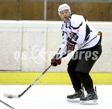 Eishockey NAHL. Tarco Woelfe gegen Weiz. Manuel Ferrara (Tarco). Klagenfurt, am 22.12.2012.
Foto: Kuess
---
pressefotos, pressefotografie, kuess, qs, qspictures, sport, bild, bilder, bilddatenbank