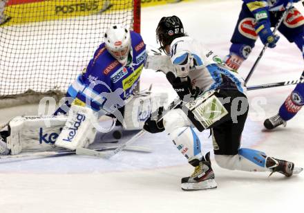 EBEL. Eishockey Bundesliga. EC VSV gegen SAPA Fehervar AV19. Jean Philippe Lamoureux, (VSV), Frank Banham  (Alba Volan). Villach, am 30.12.2012.
Foto: Kuess 


---
pressefotos, pressefotografie, kuess, qs, qspictures, sport, bild, bilder, bilddatenbank