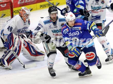 EBEL. Eishockey Bundesliga. EC VSV gegen SAPA Fehervar AV19. Derek Damon,  (VSV), Miklos Rajna, Eric Johansson (Alba Volan). Villach, am 30.12.2012.
Foto: Kuess 


---
pressefotos, pressefotografie, kuess, qs, qspictures, sport, bild, bilder, bilddatenbank