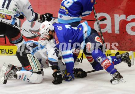 EBEL. Eishockey Bundesliga. EC VSV gegen SAPA Fehervar AV19. Brad Cole, (VSV), Istvan Sofron  (Alba Volan). Villach, am 30.12.2012.
Foto: Kuess 


---
pressefotos, pressefotografie, kuess, qs, qspictures, sport, bild, bilder, bilddatenbank