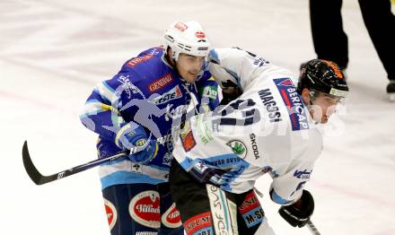 EBEL. Eishockey Bundesliga. EC VSV gegen SAPA Fehervar AV19. Klemen Pretnar, (VSV), Balint Magosi (Alba Volan). Villach, am 30.12.2012.
Foto: Kuess 


---
pressefotos, pressefotografie, kuess, qs, qspictures, sport, bild, bilder, bilddatenbank