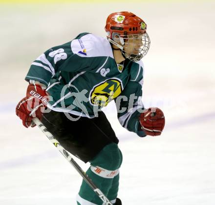 Eishockey Cup. Ascus Rangers gegen Zeltverleih Bister. Gerald Jarnig (Bister). Klagenfurt, 23.1.2013.
Foto: kuess
---
pressefotos, pressefotografie, kuess, qs, qspictures, sport, bild, bilder, bilddatenbank