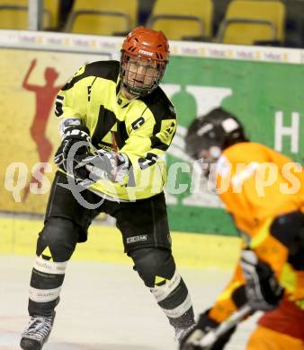 Eishockey Cup. HC Post gegen Ascus Rangers. Andreas Reichenhauser (Post). Klagenfurt, 31.1.2013.
Foto: Kuess
---
pressefotos, pressefotografie, kuess, qs, qspictures, sport, bild, bilder, bilddatenbank