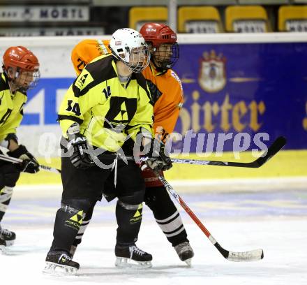 Eishockey Cup. HC Post gegen Ascus Rangers. Stephan Kogelnigg (Post). Klagenfurt, 31.1.2013.
Foto: Kuess
---
pressefotos, pressefotografie, kuess, qs, qspictures, sport, bild, bilder, bilddatenbank