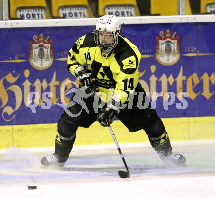 Eishockey Cup. HC Post gegen Ascus Rangers. Stephan Kogelnigg (Post). Klagenfurt, 31.1.2013.
Foto: Kuess
---
pressefotos, pressefotografie, kuess, qs, qspictures, sport, bild, bilder, bilddatenbank