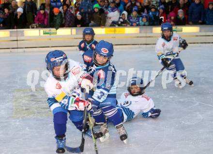 Eishockey Bundesliga. Showtraining VSV am Rathausplatz. Minis. Villach, am 1.2.1013.
Foto: Kuess
---
pressefotos, pressefotografie, kuess, qs, qspictures, sport, bild, bilder, bilddatenbank