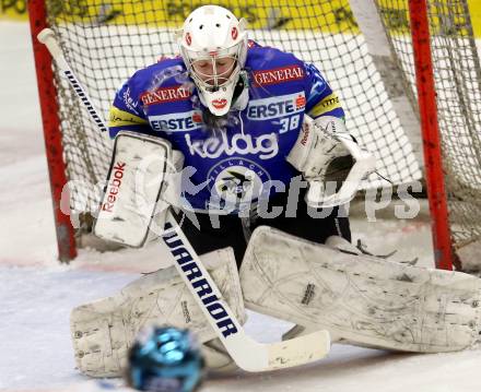 EBEL. Eishockey Bundesliga. EC VSV gegen EHC LIWEST Linz. Lukas Herzog (VSV). Villach, am 19.2.2013.
Foto: Kuess 


---
pressefotos, pressefotografie, kuess, qs, qspictures, sport, bild, bilder, bilddatenbank