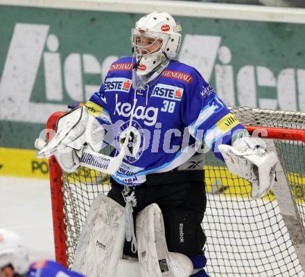 EBEL. Eishockey Bundesliga. EC VSV gegen EHC LIWEST Linz.  Lukas Herzog (VSV). Villach, am 19.2.2013.
Foto: Kuess 


---
pressefotos, pressefotografie, kuess, qs, qspictures, sport, bild, bilder, bilddatenbank