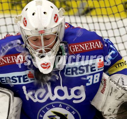 EBEL. Eishockey Bundesliga. EC VSV gegen EHC LIWEST Linz. Lukas Herzog (VSV). Villach, am 19.2.2013.
Foto: Kuess 


---
pressefotos, pressefotografie, kuess, qs, qspictures, sport, bild, bilder, bilddatenbank