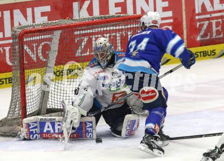 EBEL. Eishockey Bundesliga. EC VSV gegen EHC LIWEST Linz. Markus Peintner (VSV), David Leneveu (Linz). Villach, am 26.2.2013.
Foto: Kuess 
---
pressefotos, pressefotografie, kuess, qs, qspictures, sport, bild, bilder, bilddatenbank