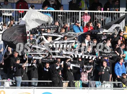 Fussball. Bundesliga. RZ Pellets WAC gegen SK Rapid Wien. Fans. Wolfsberg, 3.3.2013.
Foto: Kuess

---
pressefotos, pressefotografie, kuess, qs, qspictures, sport, bild, bilder, bilddatenbank