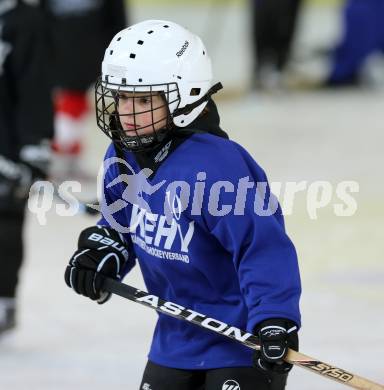 Eishockey Nachwuchs. Learn to play. Klagenfurt, am 3.3.2013.
Foto: Kuess
---
pressefotos, pressefotografie, kuess, qs, qspictures, sport, bild, bilder, bilddatenbank