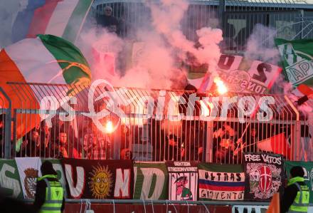 Fussball. Bundesliga. RZ Pellets WAC gegen SK Rapid Wien.  Fans (Rapid). Wolfsberg, 3.3.2013.
Foto: Kuess

---
pressefotos, pressefotografie, kuess, qs, qspictures, sport, bild, bilder, bilddatenbank