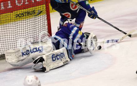 EBEL. Eishockey Bundesliga. EC VSV gegen EHC LIWEST Linz. LAMOUREUX Jean Philippe (VSV). Villach, am 3.3.2013.
Foto: Kuess 


---
pressefotos, pressefotografie, kuess, qs, qspictures, sport, bild, bilder, bilddatenbank