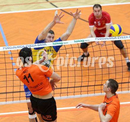 Volleyball. AVL-Halbfinale. SK Aich/Dob gegen Amstetten. Hruska Michal (Aich/Dob). Bleiburg, 23.3.2013.
Foto: Kuess
---
pressefotos, pressefotografie, kuess, qs, qspictures, sport, bild, bilder, bilddatenbank