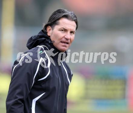 Fussball Regionalliga. SAK gegen Pasching. Trainer Baumgartner Gerald (Pasching). Klagenfurt, am 6.4.2013.
Foto: Kuess
---
pressefotos, pressefotografie, kuess, qs, qspictures, sport, bild, bilder, bilddatenbank