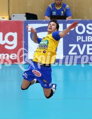 Volleyball. AVL Finalspiel. Aich/Dob gegen Hypo Tirol. WLODARCZYK Wojciech  (Aich/Dob). Bleiburg, 10.4.2013.
Foto: Kuess

---
pressefotos, pressefotografie, kuess, qs, qspictures, sport, bild, bilder, bilddatenbank