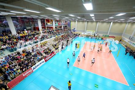 Volleyball. AVL Finalspiel. Aich/Dob gegen Hypo Tirol. Fans (Aich/Dob). Bleiburg, 30.4.2013.
Foto: Kuess

---
pressefotos, pressefotografie, kuess, qs, qspictures, sport, bild, bilder, bilddatenbank