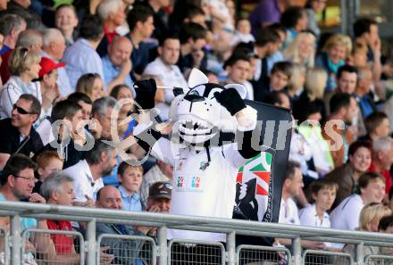 Fussball Bundesliga. RZ Pellets WAC gegen FC Admira Wacker Moedling.  Fans WAC Maskottchen (WAC). Wolfsberg, 18.5.2013.
Foto: Kuess

---
pressefotos, pressefotografie, kuess, qs, qspictures, sport, bild, bilder, bilddatenbank