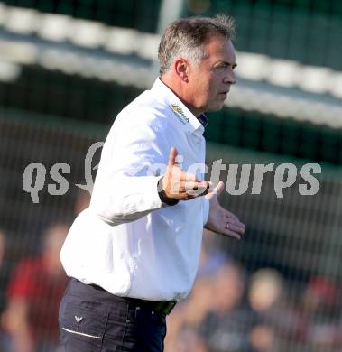 Fussball Regionalliga. SAK gegen SK Austria Klagenfurt. Trainer Joze Prelogar (Austria Klagenfurt). Klagenfurt, 6.9.2013.
Foto: Kuess
---
pressefotos, pressefotografie, kuess, qs, qspictures, sport, bild, bilder, bilddatenbank