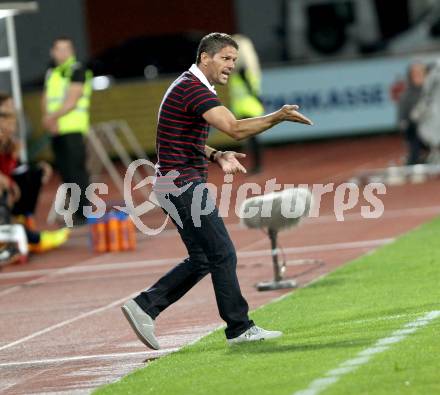 Fussball Bundesliga. RZ Pellets WAC gegen FC Admira Wacker Moedling. Dietmar Kuehbauer (WAC). Wolfsberg, 14.9.2013.
Foto: Kuess

---
pressefotos, pressefotografie, kuess, qs, qspictures, sport, bild, bilder, bilddatenbank