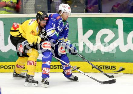 EBEL. Eishockey Bundesliga. EC VSV gegen UPC Vienna Capitals. Brock McBride, (VSV),Philippe Lakos  (Vienna). Villach, am 22.9.2013.
Foto: Kuess 


---
pressefotos, pressefotografie, kuess, qs, qspictures, sport, bild, bilder, bilddatenbank