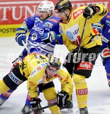 EBEL. Eishockey Bundesliga. EC VSV gegen UPC Vienna Capitals. Curtis Fraser, (VSV), Philippe Lakos  (Vienna). Villach, am 22.9.2013.
Foto: Kuess 


---
pressefotos, pressefotografie, kuess, qs, qspictures, sport, bild, bilder, bilddatenbank