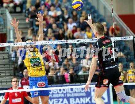 Volleyball Champions League. SK Posijilnica Aich/Dob gegen Lube Banca Marche MACERATA.  Andrej Grut  (Aich/Dob). Klagenfurt, am 30.10.2013.
Foto: Kuess
---
pressefotos, pressefotografie, kuess, qs, qspictures, sport, bild, bilder, bilddatenbank