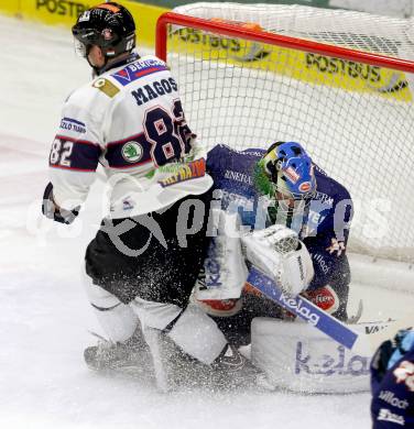 EBEL. Eishockey Bundesliga. EC VSV gegen SAPA Fehervar AV19. HOENECKL Thomas  (VSV), MAGOSI Balint (Alba Volan). Villach, am 31.10..2013.
Foto: Kuess 


---
pressefotos, pressefotografie, kuess, qs, qspictures, sport, bild, bilder, bilddatenbank