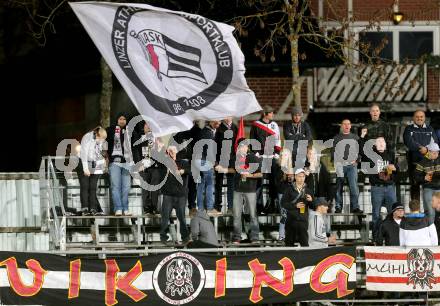 Fussball Regionalliga. VSV gegen LASK. Fans (LASK). Villach, 31.10.2013.
Foto: Kuess
---
pressefotos, pressefotografie, kuess, qs, qspictures, sport, bild, bilder, bilddatenbank