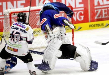 EBEL. Eishockey Bundesliga. EC VSV gegen SAPA Fehervar AV19. Cole Jarrett,  (VSV), RAJNA Miklos, YELLOW HORN Colton (Alba Volan). Villach, am 31.10..2013.
Foto: Kuess 


---
pressefotos, pressefotografie, kuess, qs, qspictures, sport, bild, bilder, bilddatenbank