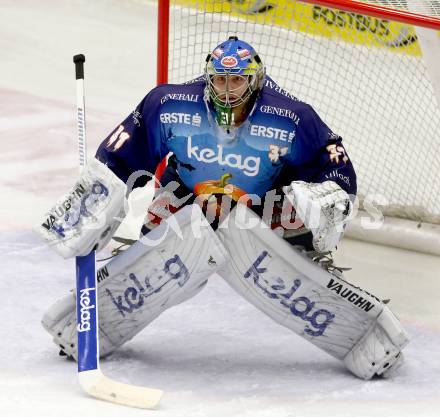 EBEL. Eishockey Bundesliga. EC VSV gegen SAPA Fehervar AV19. Thomas Hoeneckl (VSV). Villach, am 31.10..2013.
Foto: Kuess 


---
pressefotos, pressefotografie, kuess, qs, qspictures, sport, bild, bilder, bilddatenbank