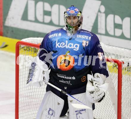 EBEL. Eishockey Bundesliga. EC VSV gegen SAPA Fehervar AV19. Thomas Hoeneckl (VSV). Villach, am 31.10..2013.
Foto: Kuess 


---
pressefotos, pressefotografie, kuess, qs, qspictures, sport, bild, bilder, bilddatenbank