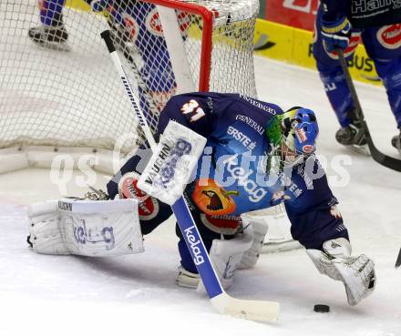 EBEL. Eishockey Bundesliga. EC VSV gegen SAPA Fehervar AV19. Thomas Hoeneckl (VSV). Villach, am 31.10..2013.
Foto: Kuess 


---
pressefotos, pressefotografie, kuess, qs, qspictures, sport, bild, bilder, bilddatenbank