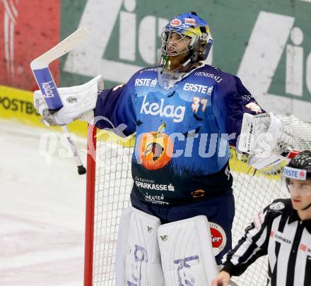 EBEL. Eishockey Bundesliga. EC VSV gegen SAPA Fehervar AV19. Thomas Hoeneckl (VSV). Villach, am 31.10..2013.
Foto: Kuess 


---
pressefotos, pressefotografie, kuess, qs, qspictures, sport, bild, bilder, bilddatenbank