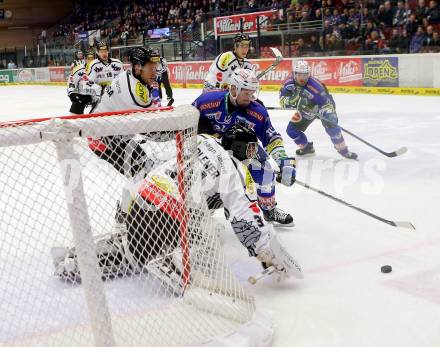 EBEL. Eishockey Bundesliga. EC VSV gegen Dornbirner Eishockey Club.  Markus Peintner,  (VSV), David Madlener (Dornbirn). Villach, am 13.11.2013.
Foto: Kuess 


---
pressefotos, pressefotografie, kuess, qs, qspictures, sport, bild, bilder, bilddatenbank