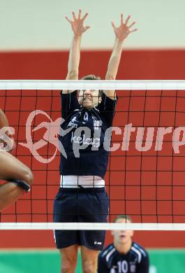 AVL. Volleybal Bundesliga. VBK Klagenfurt gegen HYPO Tirol. Christian Rainer (Klagenfurt). Klagenfurt, am 16.11.2013.
Foto: Kuess
---
pressefotos, pressefotografie, kuess, qs, qspictures, sport, bild, bilder, bilddatenbank