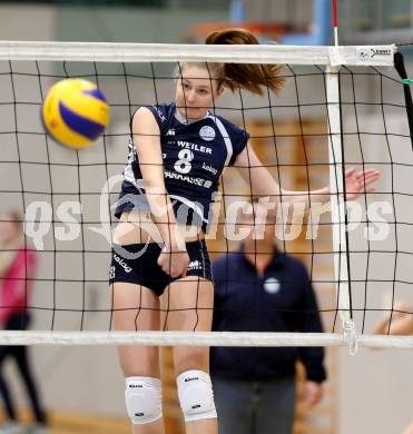 WVL. Women Volleyball League. Frauen Bundesliga. ATSC Wildcats gegen UVF Melk. Holzer Kathrina (Wildcats). Klagenfurt, 23.11.2013.
Foto: Kuess
---
pressefotos, pressefotografie, kuess, qs, qspictures, sport, bild, bilder, bilddatenbank