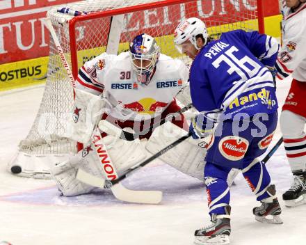 EBEL. Eishockey Bundesliga. EC VSV gegen EC Red Bull Salzburg. PEWAL Marco (VSV) BRUECKLER Bernd (Salzburg). Villach, am 1.12.2013.
Foto: Kuess 


---
pressefotos, pressefotografie, kuess, qs, qspictures, sport, bild, bilder, bilddatenbank