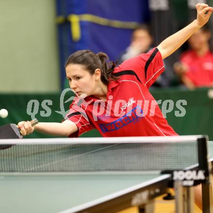 Tischtennis. Bundesliga. TTC Villacher. Levgeniya Vasilieva, (Vasilyeva Yevgeniia). Villach, 13.12.2013.
Foto: Kuess

---
pressefotos, pressefotografie, kuess, qs, qspictures, sport, bild, bilder, bilddatenbank